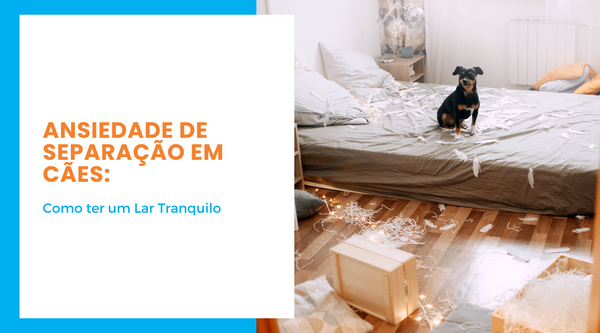 Ansiedade de Separação em Cães: Guia Completo para um Lar Tranquilo - Pedepet