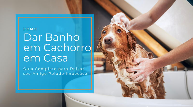 Banho Cachorro em Casa