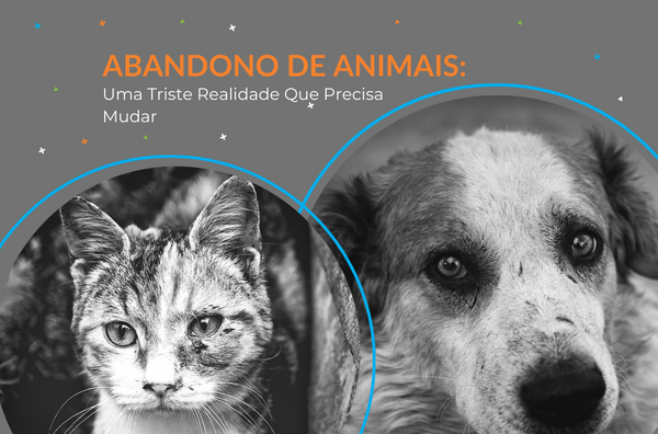 Abandono de Animais: Uma Triste Realidade Que Precisa Mudar - Pedepet