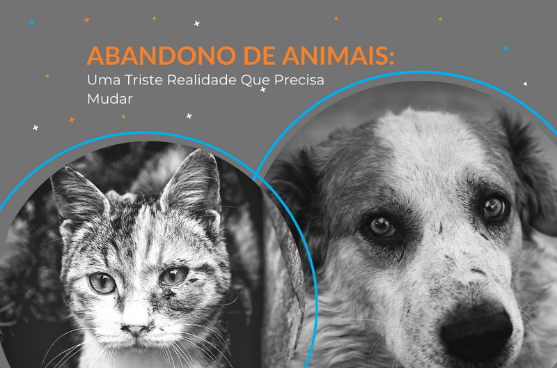 Abandono de Animais: Uma Triste Realidade Que Precisa Mudar - Pedepet