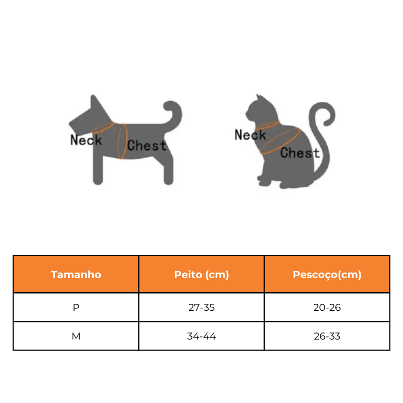 Kit Peitoral Ursinho + Guia para Cães e Gatos - Estiloso e Prático!