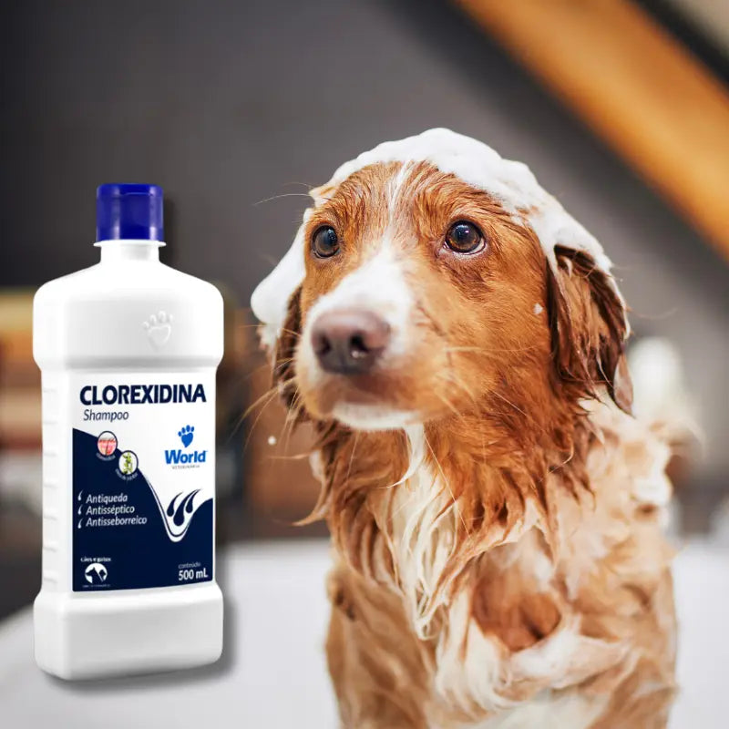 Shampoo Clorexidina para Cães e Gatos - Pede Pet