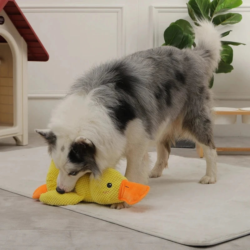 Brinquedo Interativo Pato para Cachorro: Diversão e Mordidas Seguras para seu Cãozinho! - Pede Pet