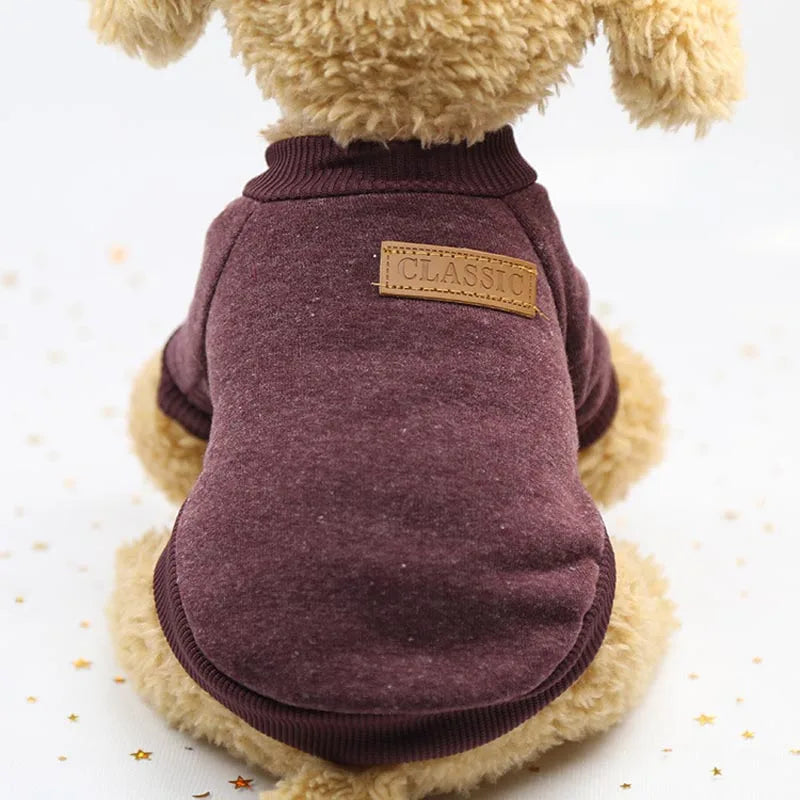 Roupa Casaco Quentinho para seu Pet: Estilo e Conforto em Dias Frios! - Pede Pet