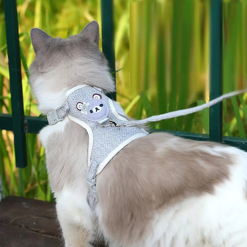Kit Peitoral Ursinho + Guia para Cães e Gatos - Estiloso e Prático!