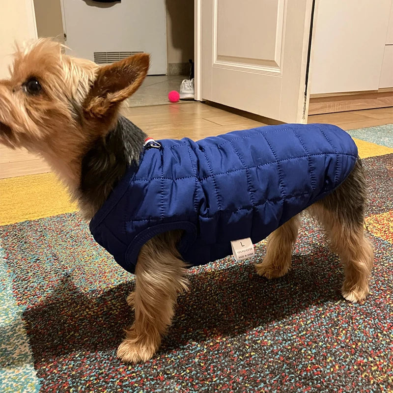 Roupa de Inverno Pet: Colete Mantenha seu Pet Quentinho e Estiloso!