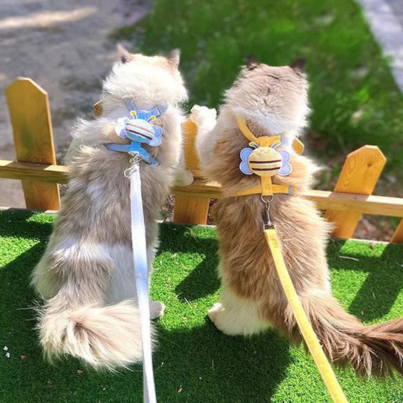 Coleira com Peitoral Abelinha  e Guia para Cães e Gatos - Estiloso e Prático!
