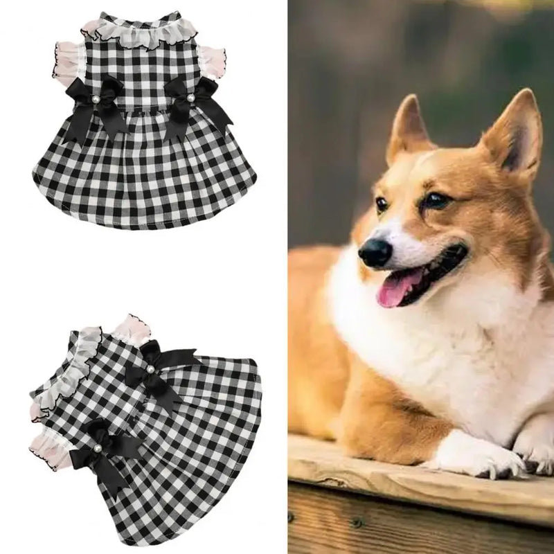 Vestido Xadrez Junino para Pet | Roupinha de Festa para Cães e Gatos