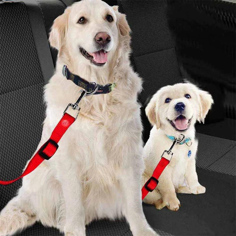 Cinto de segurança para cães e gatos - Pedepet