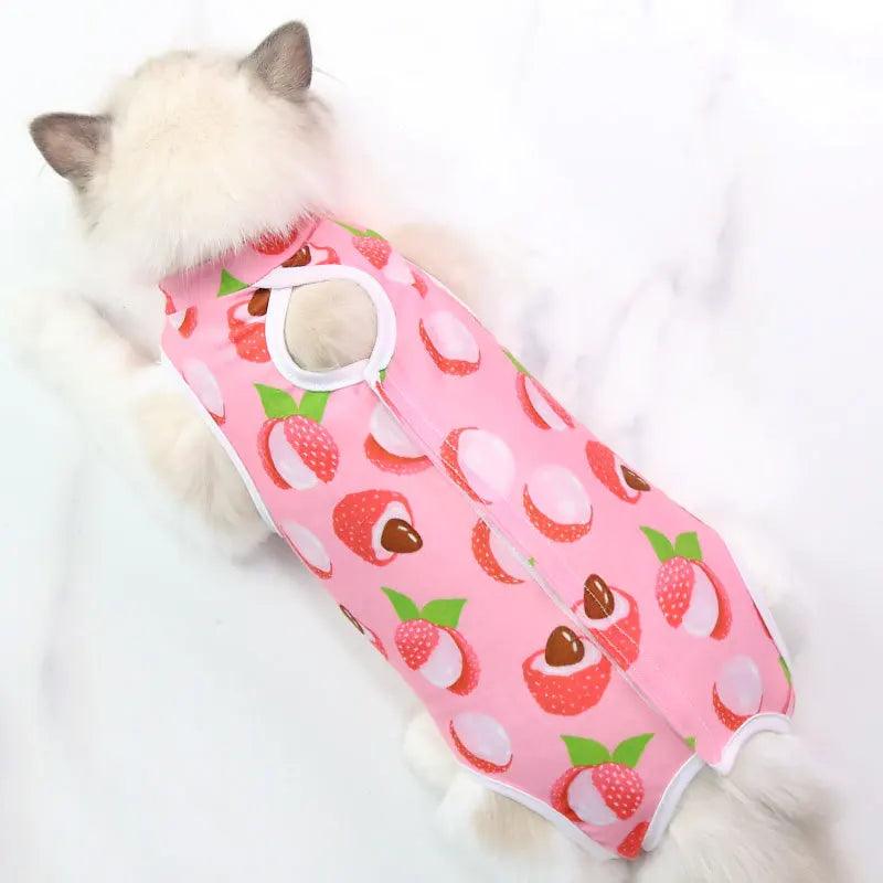 Roupa Pós-Cirurgica para Gatos: Proteção e Conforto - Pedepet