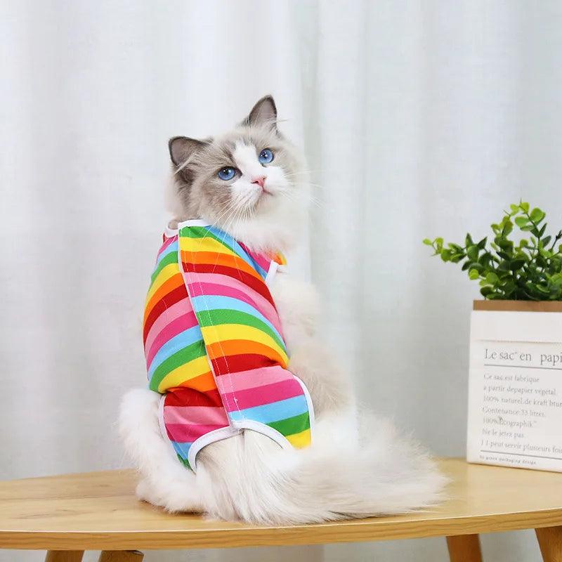 Roupa Pós-Cirurgica para Gatos: Proteção e Conforto - Pedepet