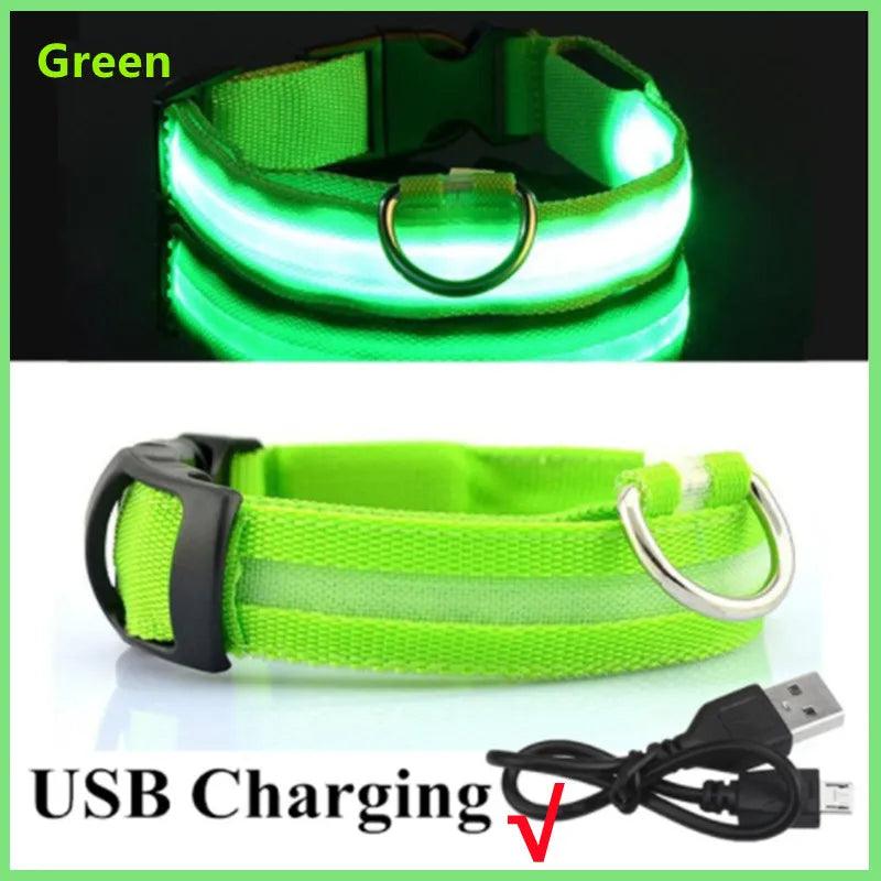 Coleira LED Refletiva para Cachorros - Pedepet