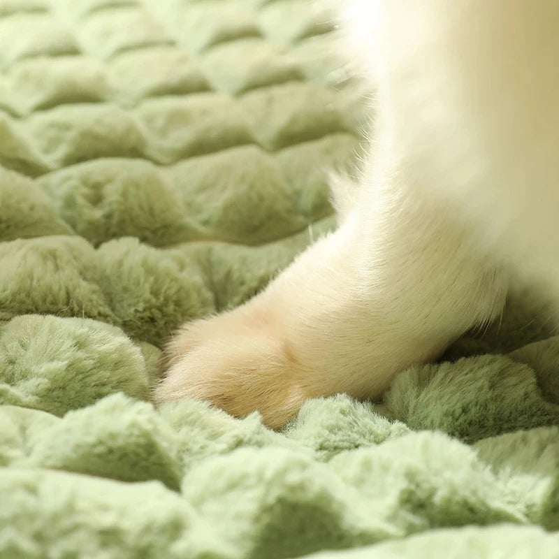 Cama para Cachorro Pequeno, Médio e Grande Lavável