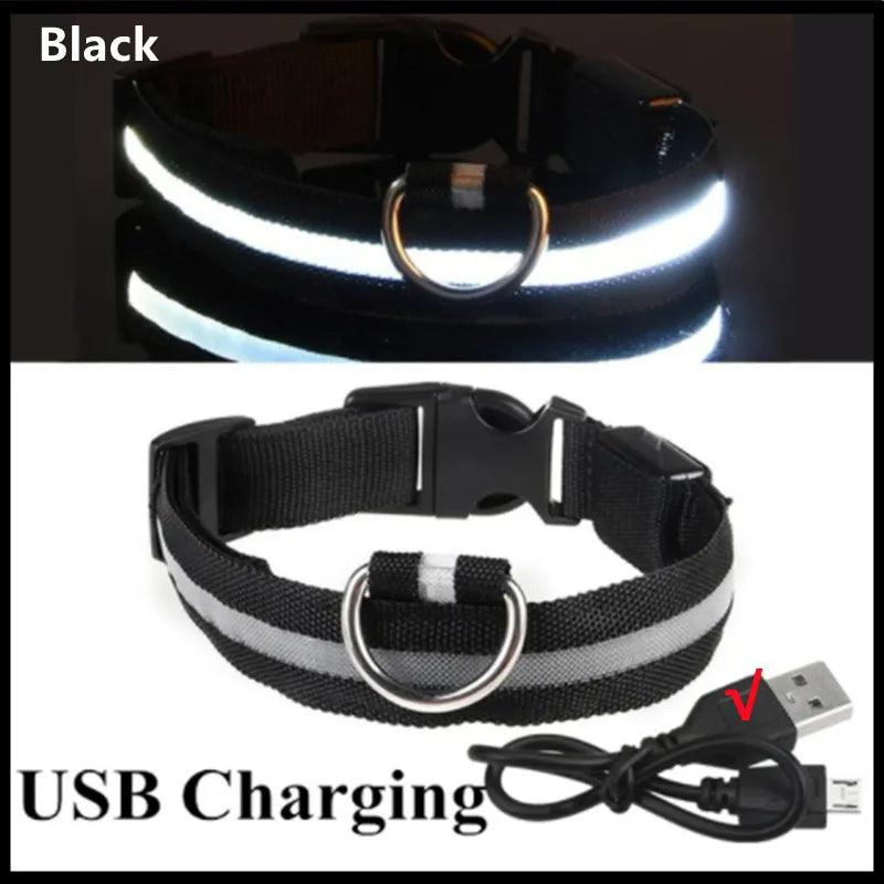 Coleira LED Refletiva para Cachorros - Pedepet