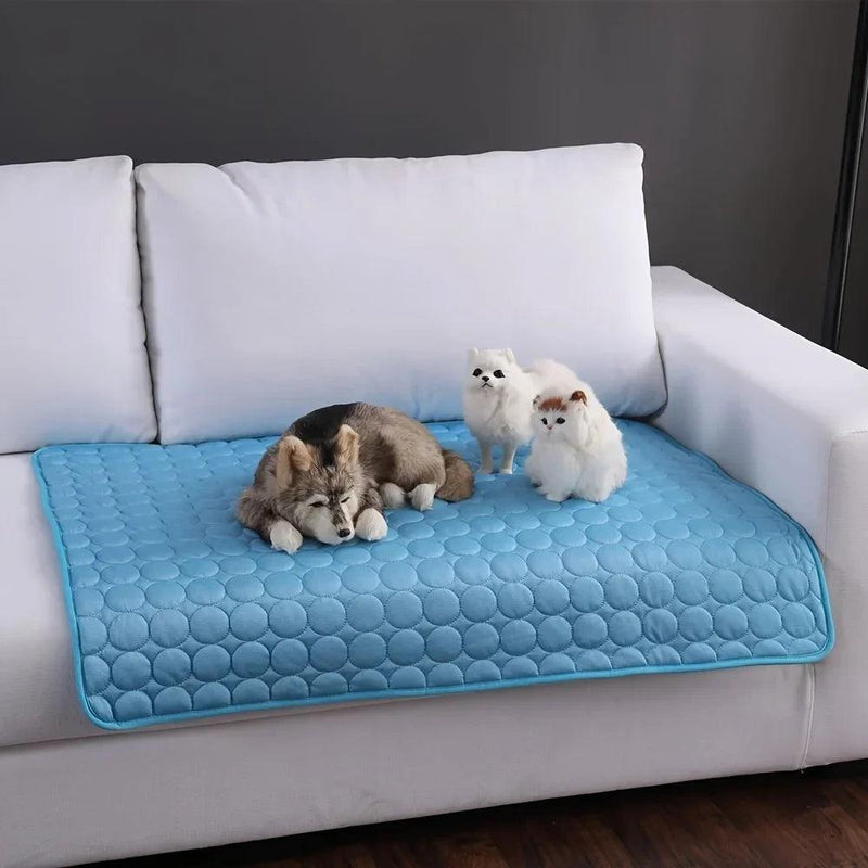Tapete Gelado para Cães e Gatos - Pedepet