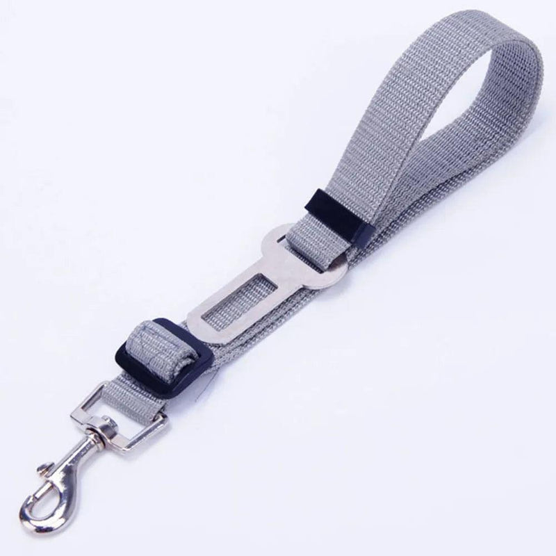 Cinto de segurança para cães e gatos - Pedepet