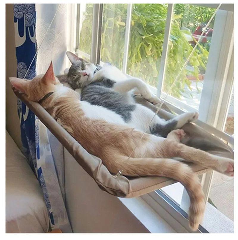 Cama suspensa para gatos - Pedepet
