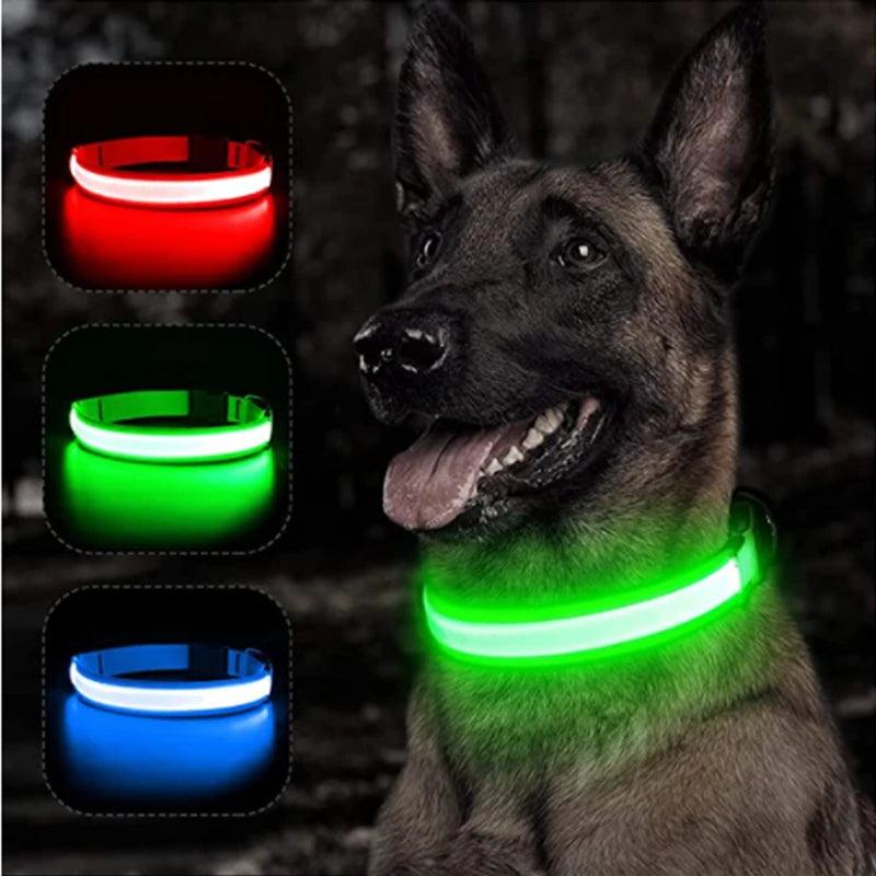 Coleira LED Refletiva para Cachorros - Pedepet