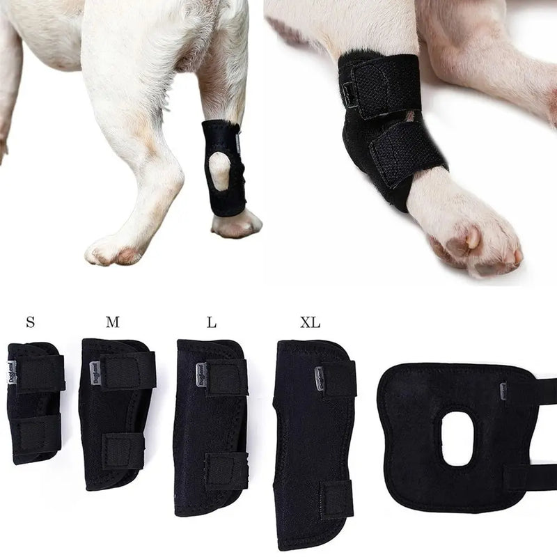 Protetor de Joelho para Cães: Alivio e Recuperação para as Pernas do Seu Pet!