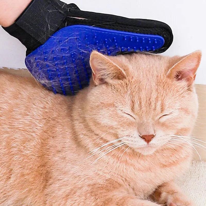 Luva Magnética Tira Pêlo: Penteie e Massageie seu Pet! - Pedepet