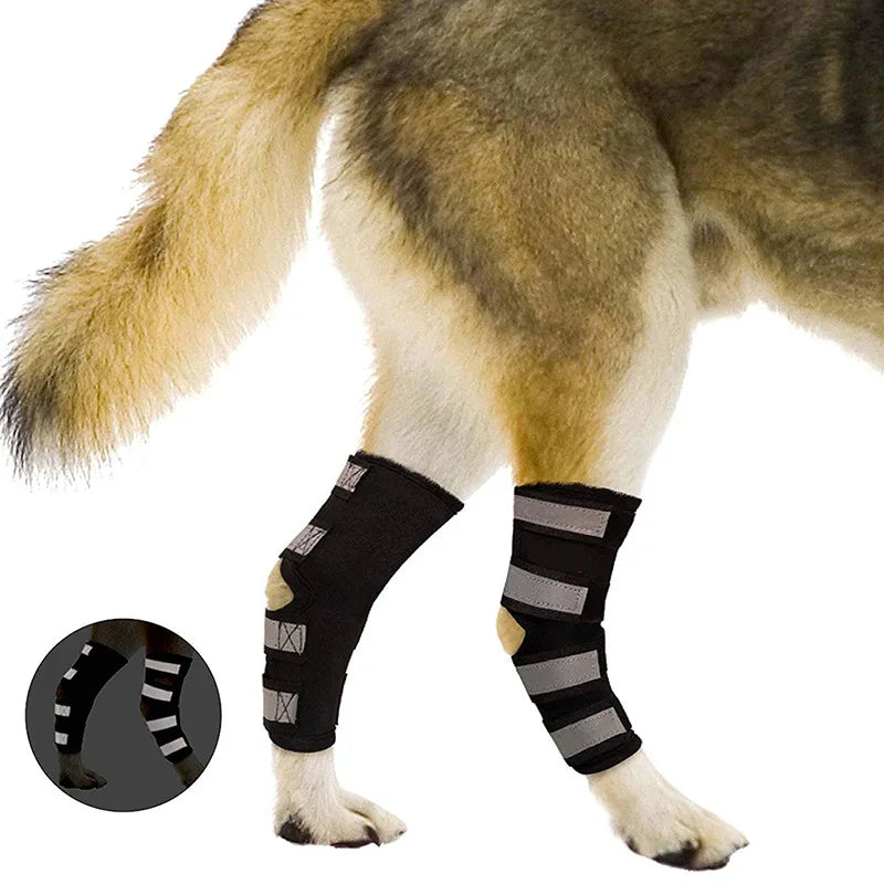 Protetor de Joelho para Cães: Cuidados e Proteção para as Pernas do Seu Pet!
