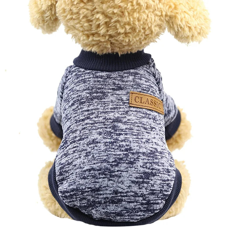 Roupa Casaco Quentinho para seu Pet: Estilo e Conforto em Dias Frios! - Pede Pet