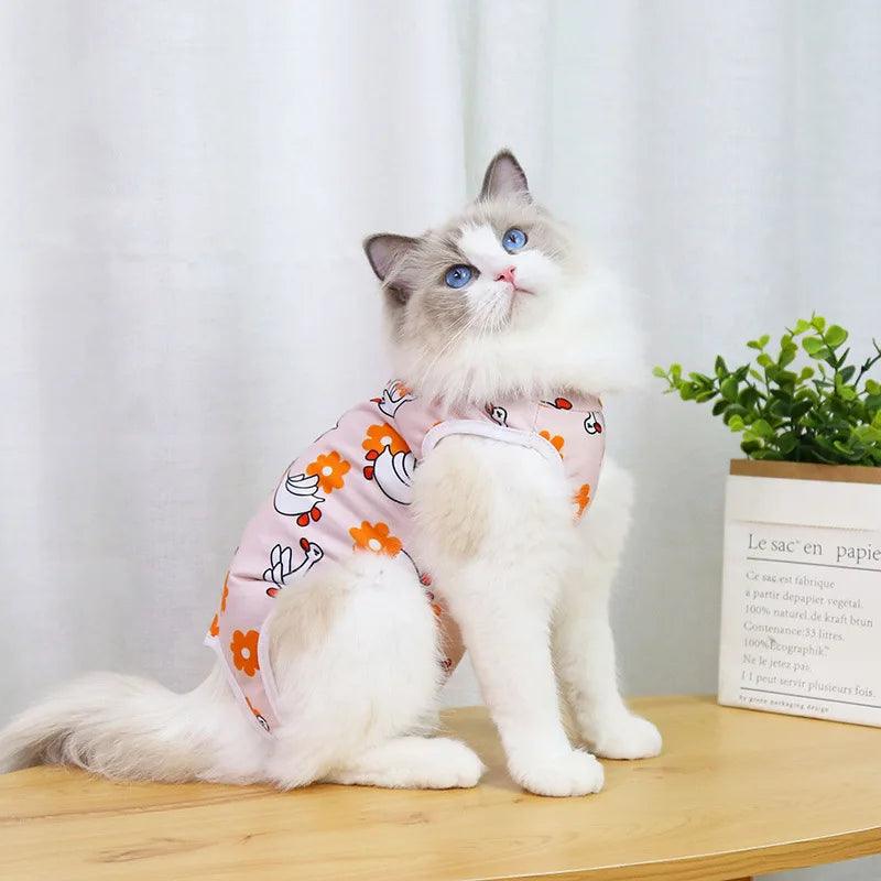 Roupa Pós-Cirurgica para Gatos: Proteção e Conforto - Pedepet