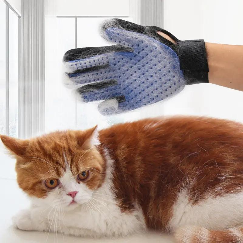 Luva Magnética Tira Pêlo: Penteie e Massageie seu Pet! - Pedepet