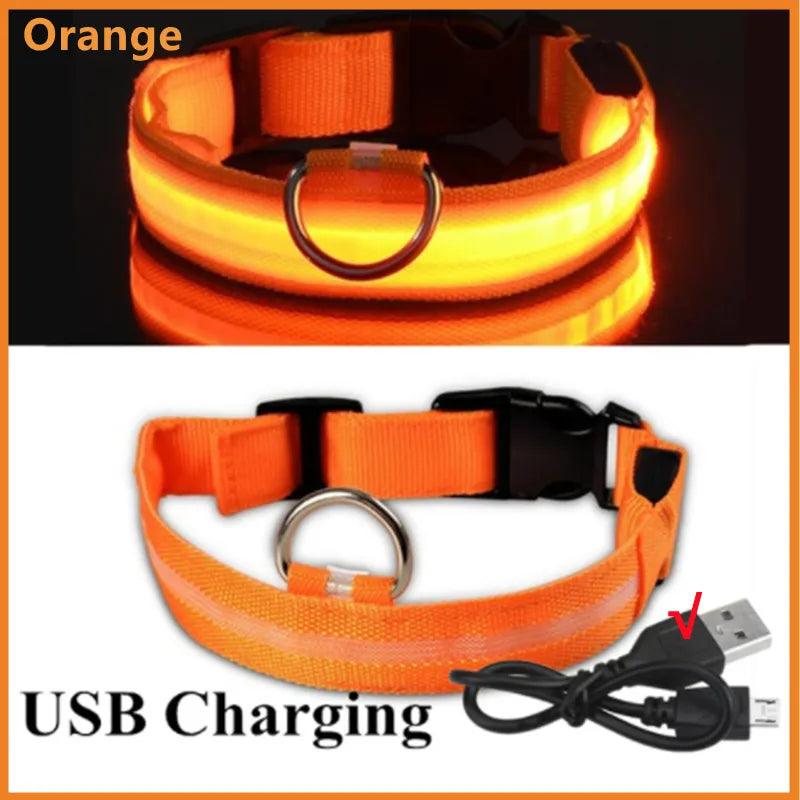 Coleira LED Refletiva para Cachorros - Pedepet