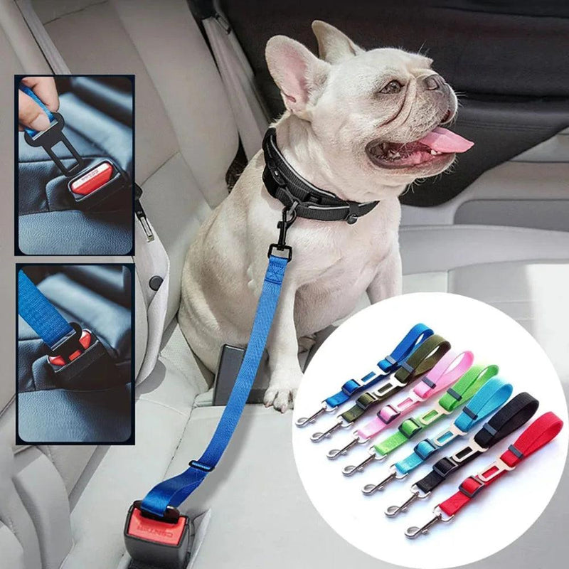 Cinto de segurança para cães e gatos - Pedepet