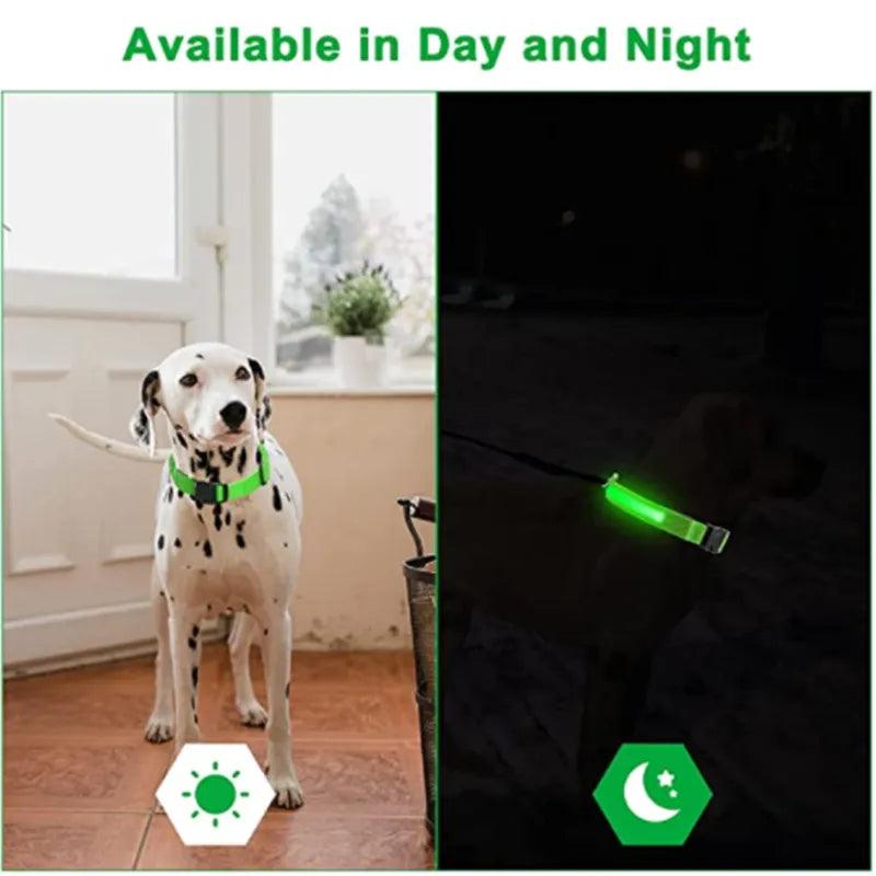 Coleira LED Refletiva para Cachorros - Pedepet
