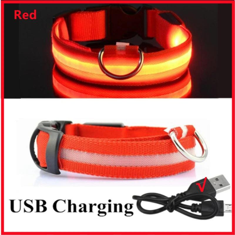 Coleira LED Refletiva para Cachorros - Pedepet
