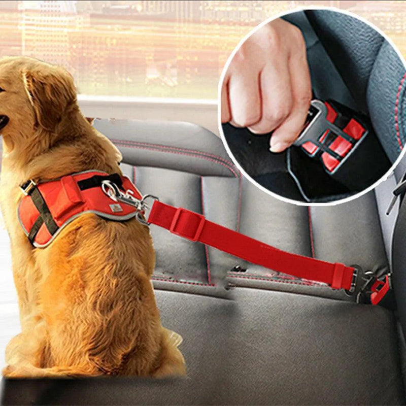 Cinto de segurança para cães e gatos - Pedepet
