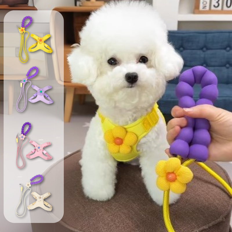 Peitoral Flor Pet com Guia para Cães e Gatos