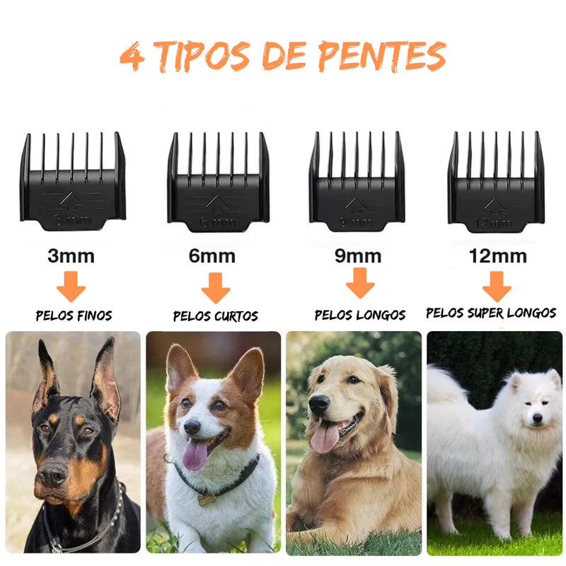 Máquina De Tosa Para Pet/Animais Em Geral Profissional